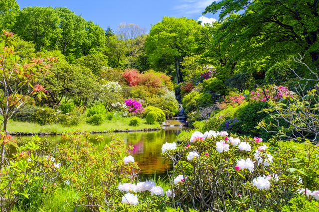 Akagi Nature Park and Otowa Club