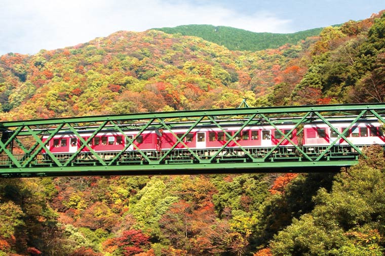 箱根登山鉄道