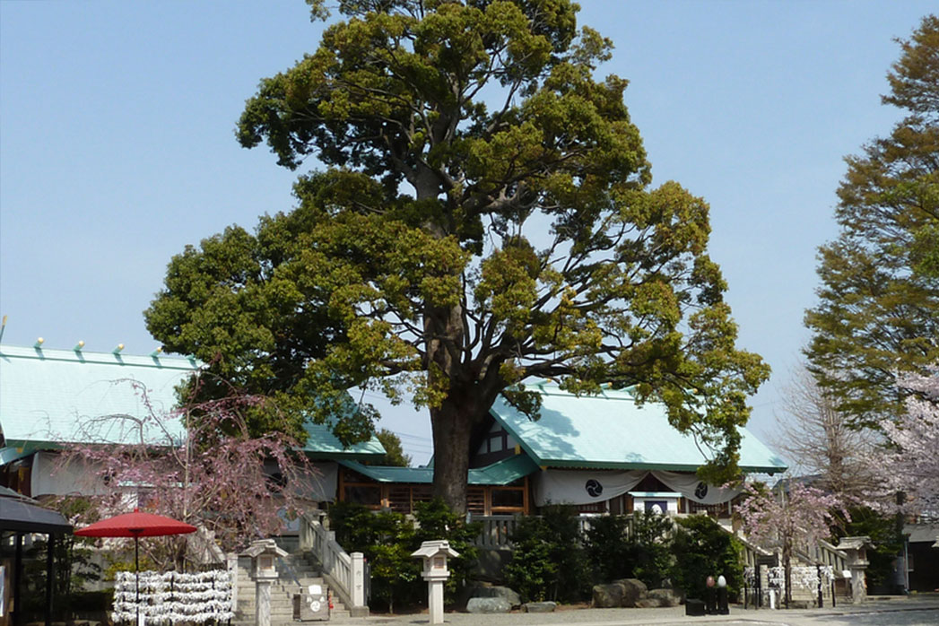 伊勢原大神宮