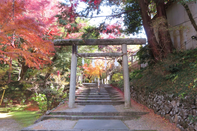唐澤山神社