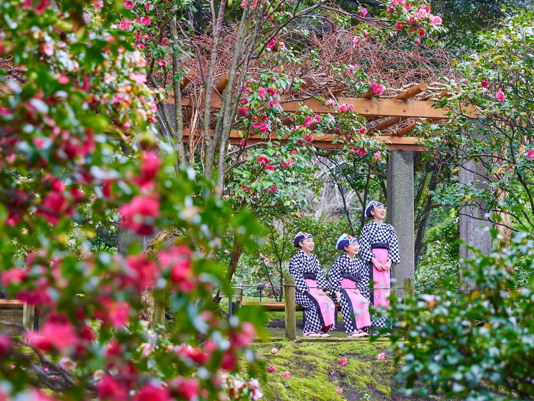 伊豆大島「椿まつり」2大椿園めぐり