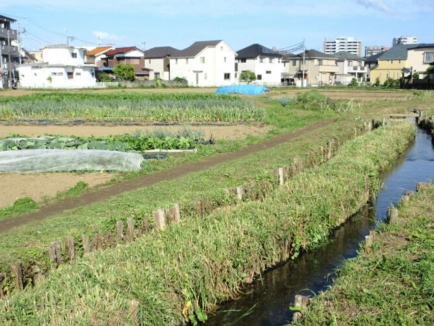 Hino Canal