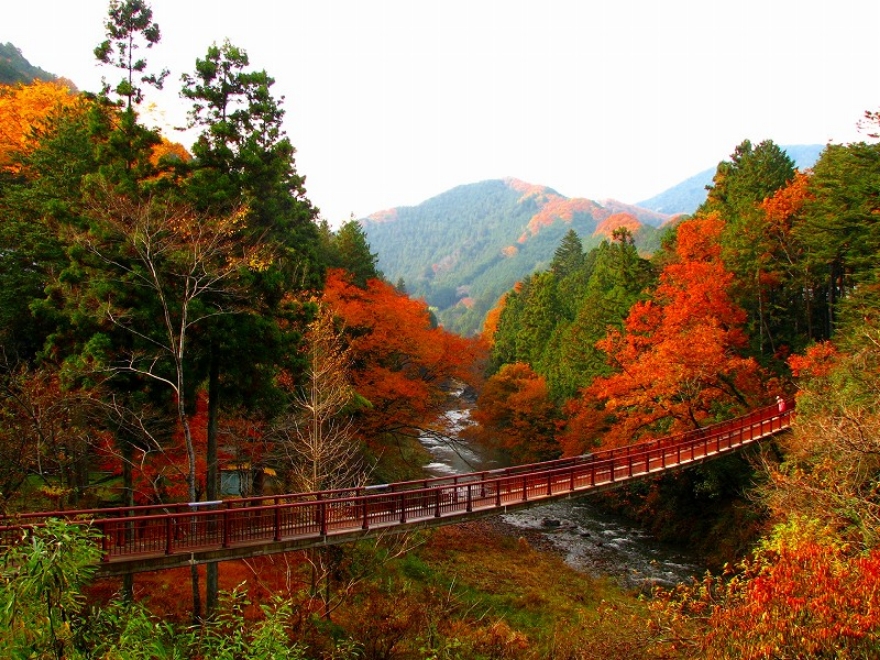 ⽯⾈橋