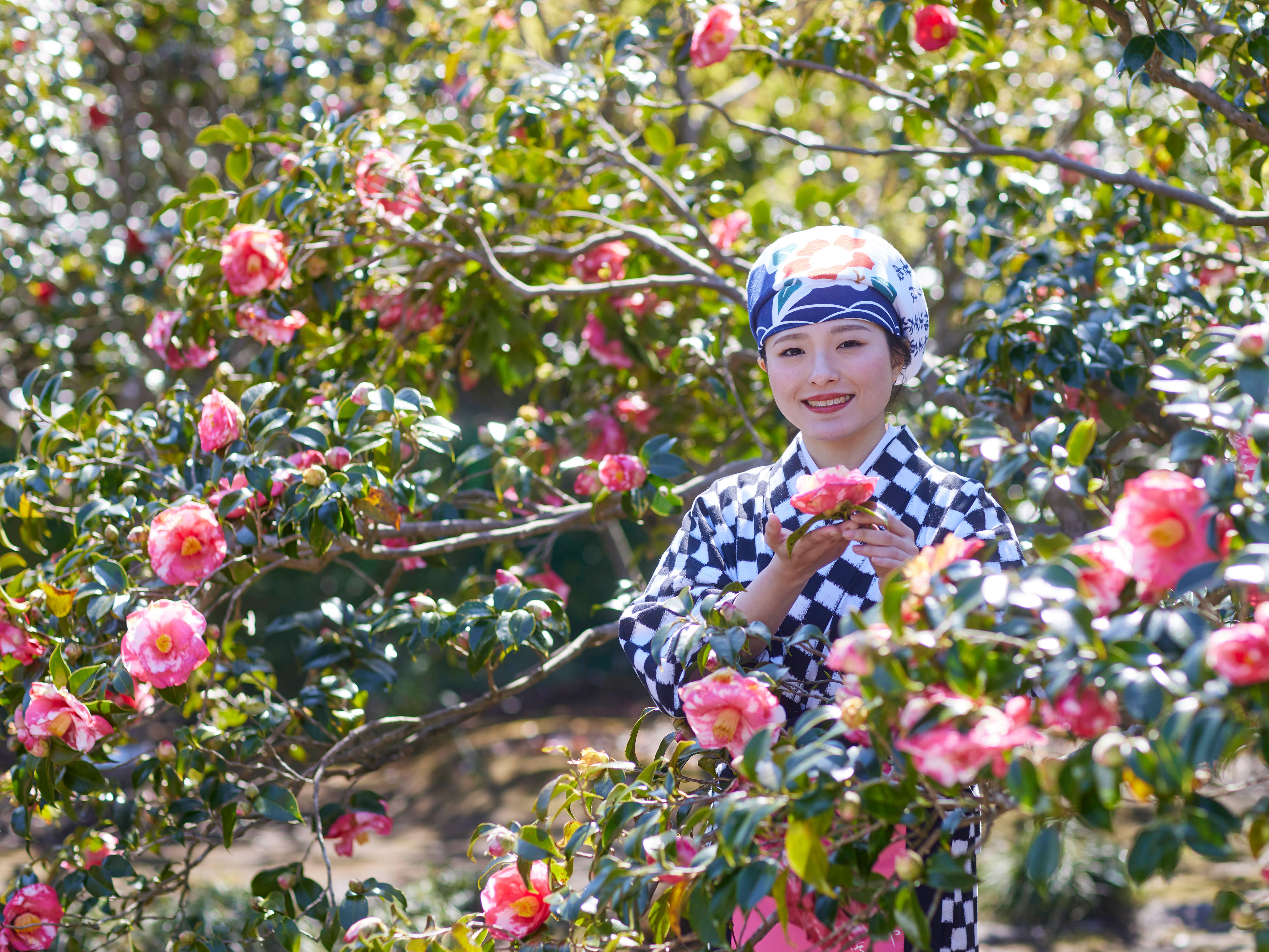 Camellia Flower Garden