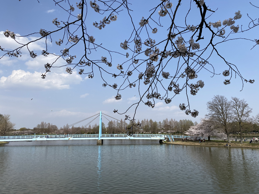Mizumoto Park